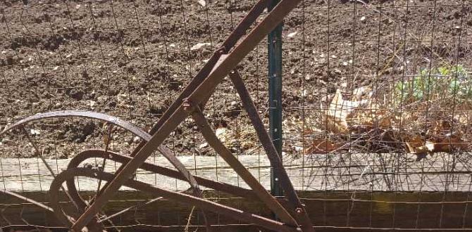 Comparing push plows to other gardening tools push plows for gardens Comparing push plows to other gardening tools push plows for gardens