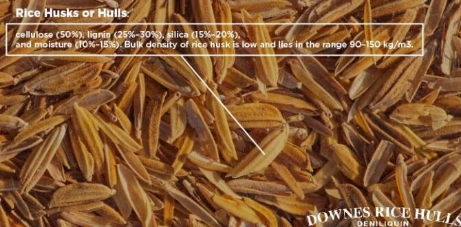Comparing rice hulls to other mulching materials rice hulls for gardening Comparing rice hulls to other mulching materials rice hulls for gardening