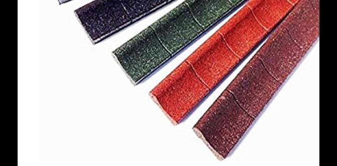 Comparing rubber edging with other edging materials rubber edging for gardens Comparing rubber edging with other edging materials rubber edging for gardens