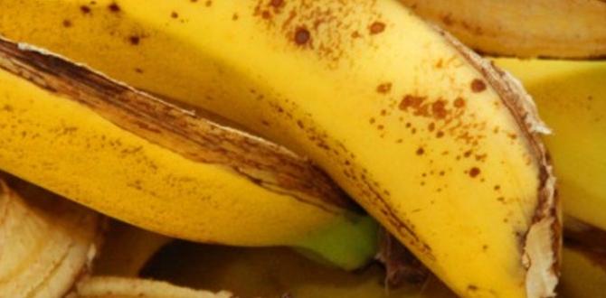 Composting with banana peels banana peels for gardening