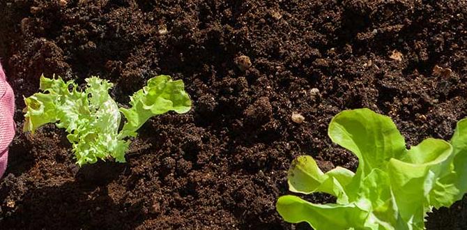 Connection to nutrition is gardening good for your health Connection to nutrition is gardening good for your health