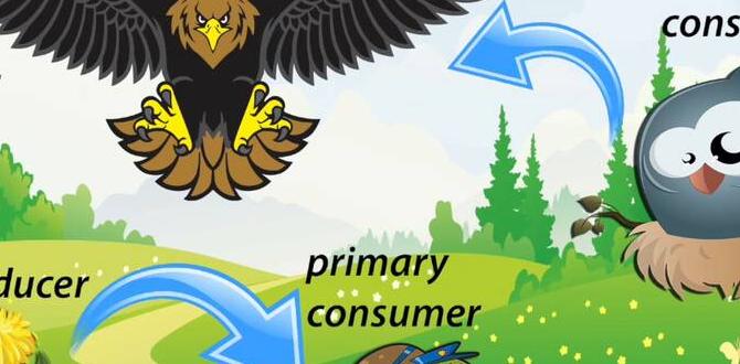 Consumer decisions and considerations is home depot pressure treated lumber safe for vegetable gardens Consumer decisions and considerations is home depot pressure treated lumber safe for vegetable gardens