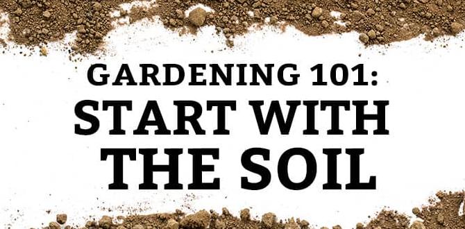 Correcting soil structure soil preparation for gardening Correcting soil structure soil preparation for gardening