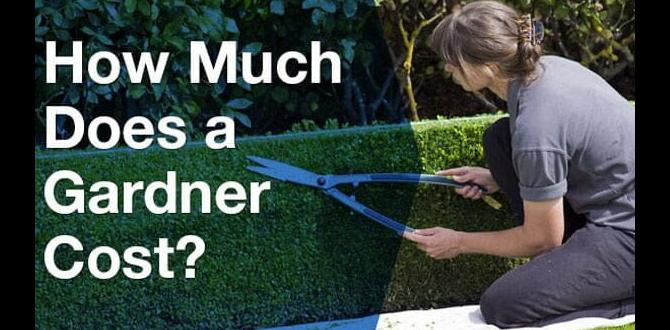 Costeffective solutions average price for a gardener Costeffective solutions average price for a gardener