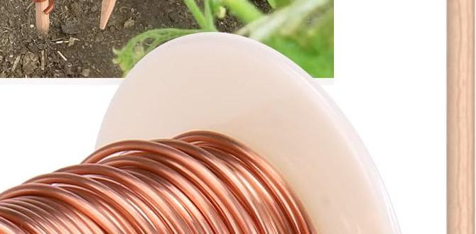 Costeffectiveness of copper antennas copper antenna for gardens Costeffectiveness of copper antennas copper antenna for gardens