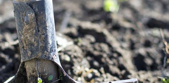 Creating a basic soil mix how to make your own soil for vegetable gardens Creating a basic soil mix how to make your own soil for vegetable gardens