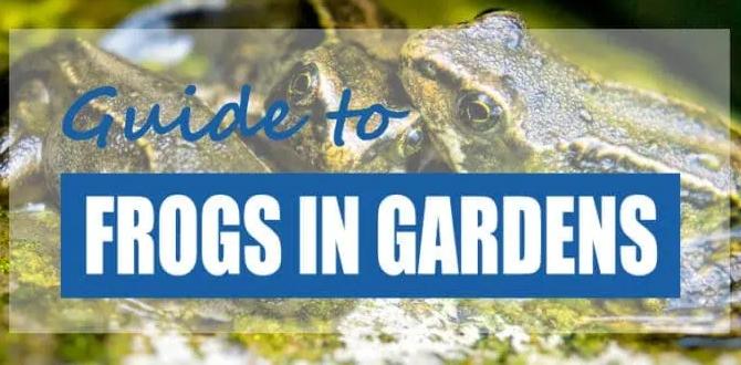 Creating a frogfriendly garden environment are frogs good for gardens Creating a frogfriendly garden environment are frogs good for gardens