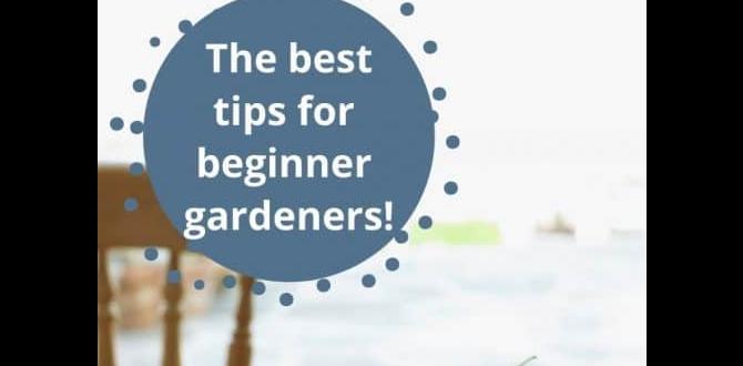 Creating a garden care schedule tips for beginner gardeners Creating a garden care schedule tips for beginner gardeners