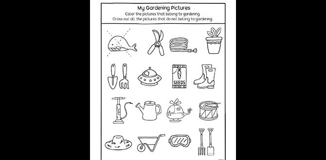 Creating a gardenthemed worksheet gardening worksheets for preschoolers Creating a gardenthemed worksheet gardening worksheets for preschoolers