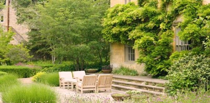 Creating a harmonious garden design with small trees small trees for small gardens Creating a harmonious garden design with small trees small trees for small gardens