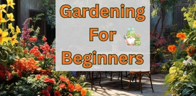 Creating a suitable layout patio gardening for beginners Creating a suitable layout patio gardening for beginners