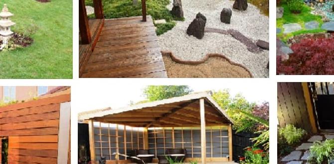 Creating a zen space ideas for small japanese gardens Creating a zen space ideas for small japanese gardens