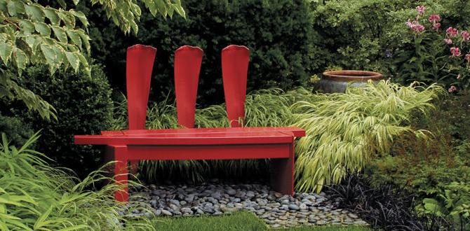 Creating focal points with shrubs shrubs for japanese gardens Creating focal points with shrubs shrubs for japanese gardens