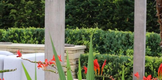 Creating harmony in your garden design color schemes for gardens