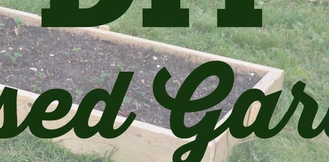 Creating raised garden beds diy for gardening Creating raised garden beds diy for gardening