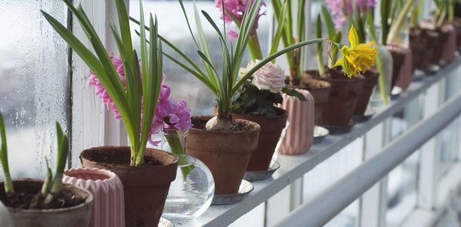 Creating the perfect indoor environment gardening indoors for beginners