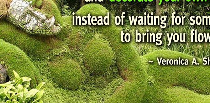 Creating your own inspirational quotes as a gardener inspirational quotes for gardeners Creating your own inspirational quotes as a gardener inspirational quotes for gardeners