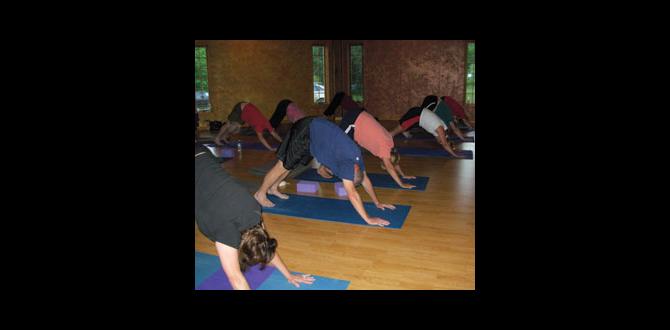 Creating your own yoga practice at home blueberry gardens center for yoga growth and healing Creating your own yoga practice at home blueberry gardens center for yoga growth and healing