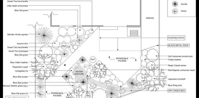 Creating zones in a small garden garden design for small gardens Creating zones in a small garden garden design for small gardens