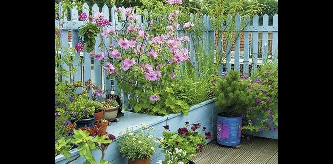 Creating zones within your garden ideas for decking in small gardens Creating zones within your garden ideas for decking in small gardens