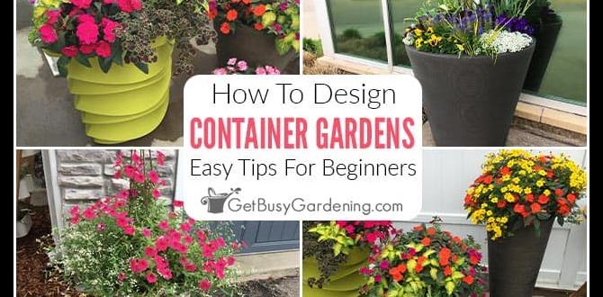 Creative arrangements and designs flower container gardening for beginners Creative arrangements and designs flower container gardening for beginners