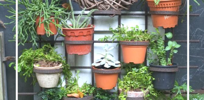 Creative gardening ideas for limited spaces gardens for apartments Creative gardening ideas for limited spaces gardens for apartments