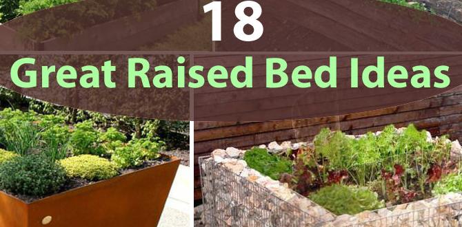 Creative themes for raised bed gardens ideas for raised bed gardens Creative themes for raised bed gardens ideas for raised bed gardens