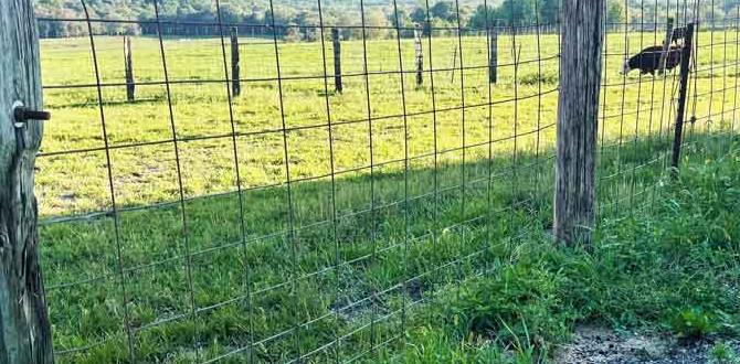 Creative uses of cattle fence panels in the garden cattle fence panels for gardening Creative uses of cattle fence panels in the garden cattle fence panels for gardening