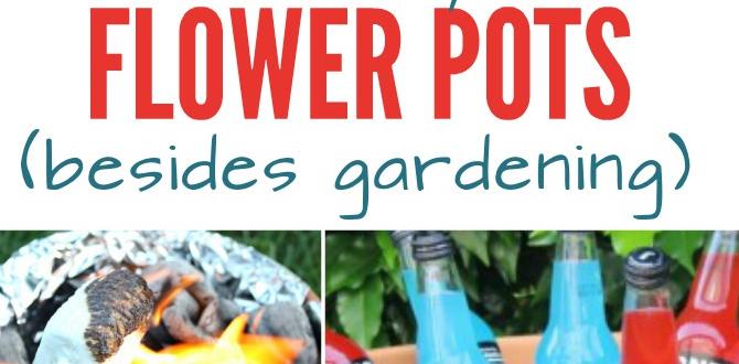 Creative ways to arrange flower pots flower pot gardening for beginners Creative ways to arrange flower pots flower pot gardening for beginners
