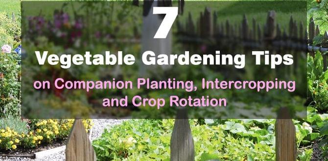 Crop rotation and companion planting safe weed control for vegetable gardens
