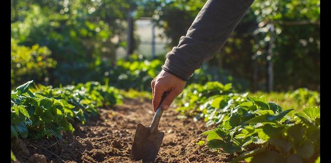 Cultivating plants suitable for clay soil how do you improve clay soil for gardening Cultivating plants suitable for clay soil how do you improve clay soil for gardening