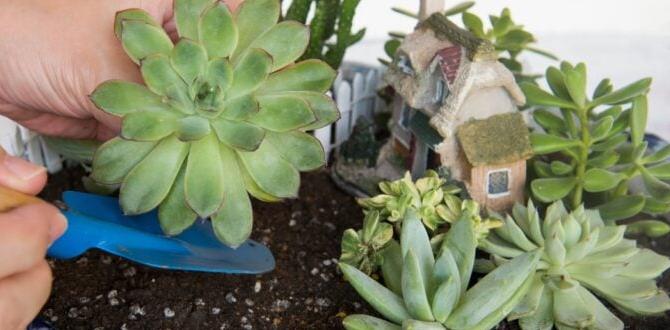 Customizing your containers containers for succulent gardens