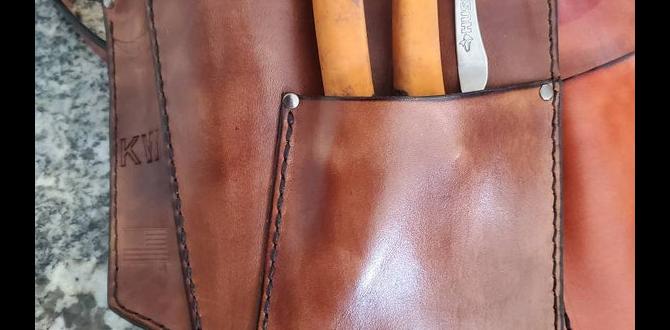 Customizing your gardening tool belt tool belt for gardening Customizing your gardening tool belt tool belt for gardening