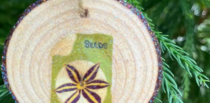 Decorating your garden with christmas ornaments christmas ornaments for gardeners