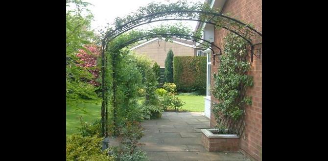 Decorating your metal arch metal arches for gardens Decorating your metal arch metal arches for gardens