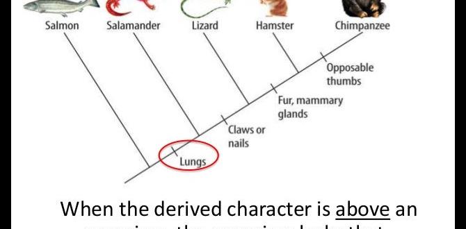 Derived terms and related professions synonyms for gardener Derived terms and related professions synonyms for gardener