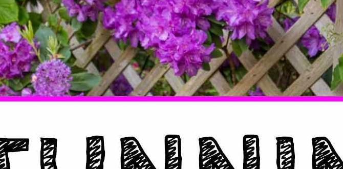 Designing a shade garden shade for gardening Designing a shade garden shade for gardening