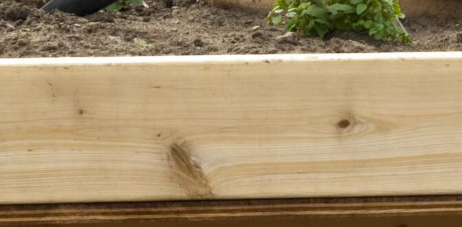 Designing an accessible garden space gardening for handicapped Designing an accessible garden space gardening for handicapped