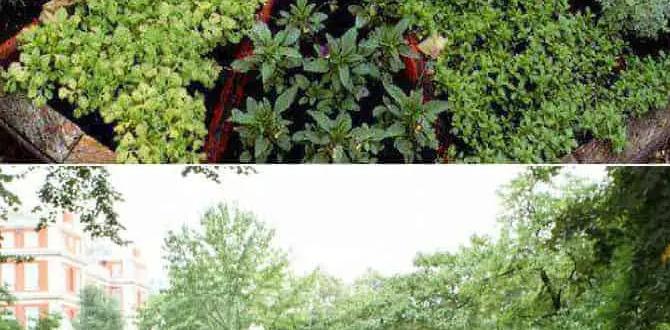 Designing your ecofriendly flower garden what flowers are good for eco friendly gardens Designing your ecofriendly flower garden what flowers are good for eco friendly gardens