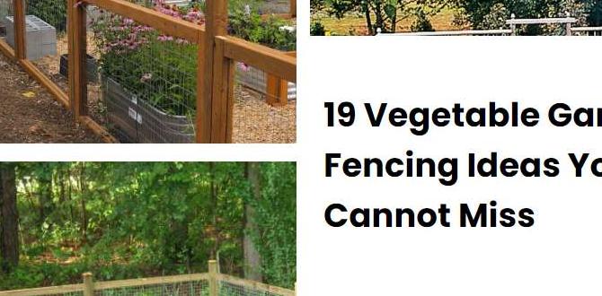 Designing your fencing layout fencing ideas for vegetable gardens Designing your fencing layout fencing ideas for vegetable gardens