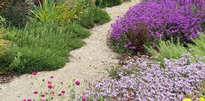 Designing your perennial garden layout ideas for perennial gardens Designing your perennial garden layout ideas for perennial gardens