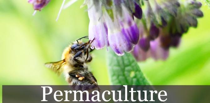 Designing your permaculture garden permaculture gardening for beginners Designing your permaculture garden permaculture gardening for beginners