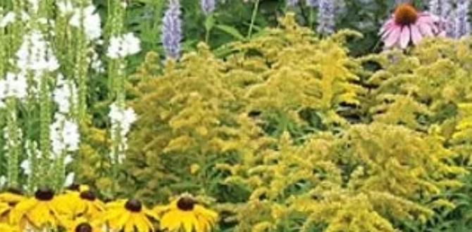 Designing your pollinator garden gardening for pollinators Designing your pollinator garden gardening for pollinators