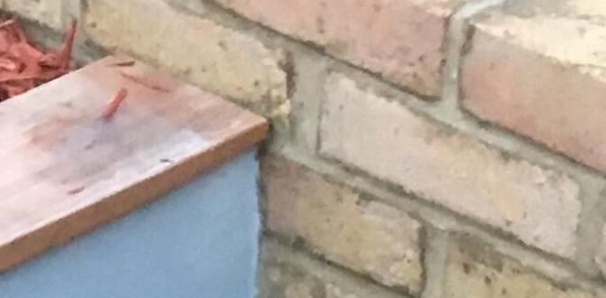 Designing your raised bed layout how to make raised beds for gardening