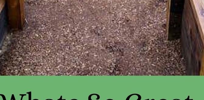 Designing your raised garden bed raised gardening for beginners