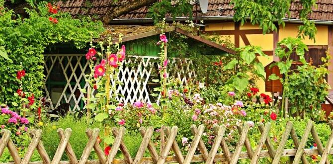 Designing your vegetable garden fence fences for vegetable gardens Designing your vegetable garden fence fences for vegetable gardens