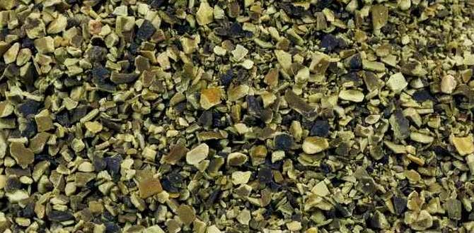 Different forms of kelp for gardening use kelp for gardening Different forms of kelp for gardening use kelp for gardening