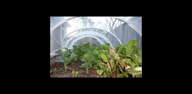 Different types of tulle available tulle for gardening Different types of tulle available tulle for gardening