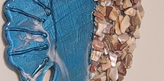 Diy: how to make crushed seashells at home crushed seashells for gardening Diy: how to make crushed seashells at home crushed seashells for gardening
