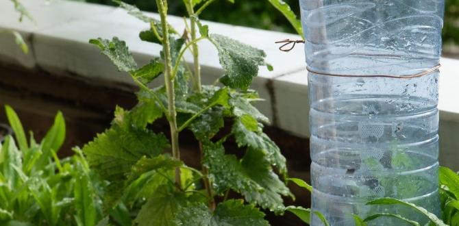 Diy watering solutions for budgetfriendly gardening watering devices for gardens Diy watering solutions for budgetfriendly gardening watering devices for gardens
